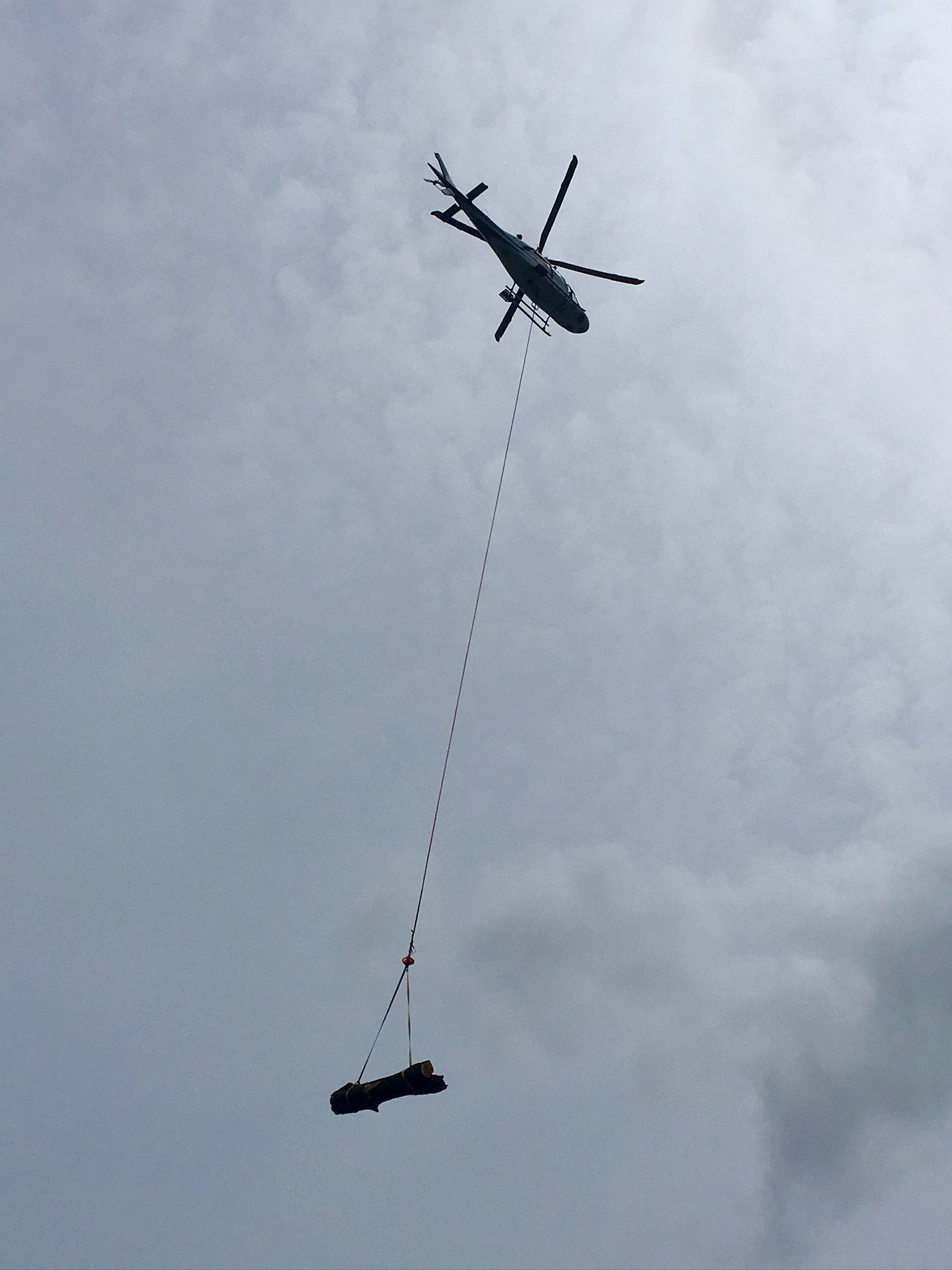 Gowlland Island - Photo 11